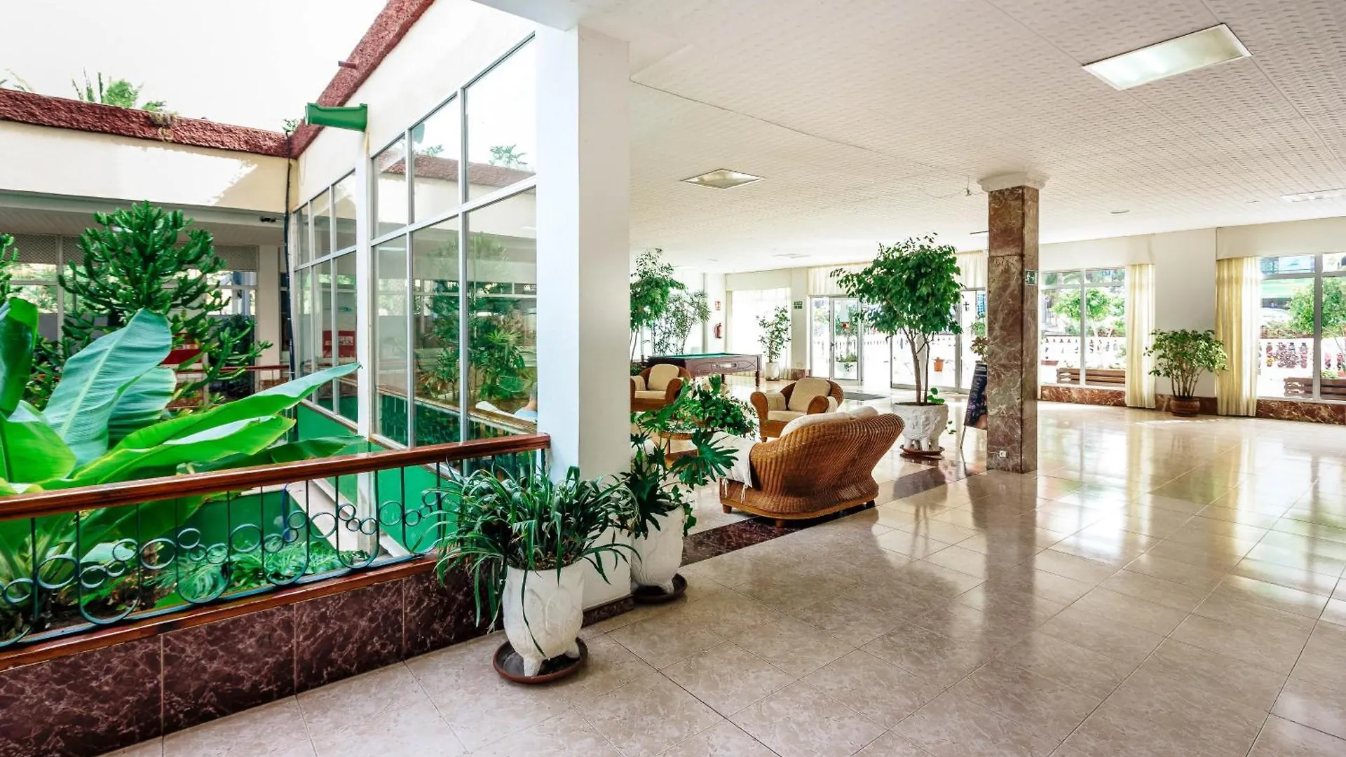 1Bdr El Dorado Ocean View Las Americas Playa de las Americas  Playa de las Americas (Tenerife)