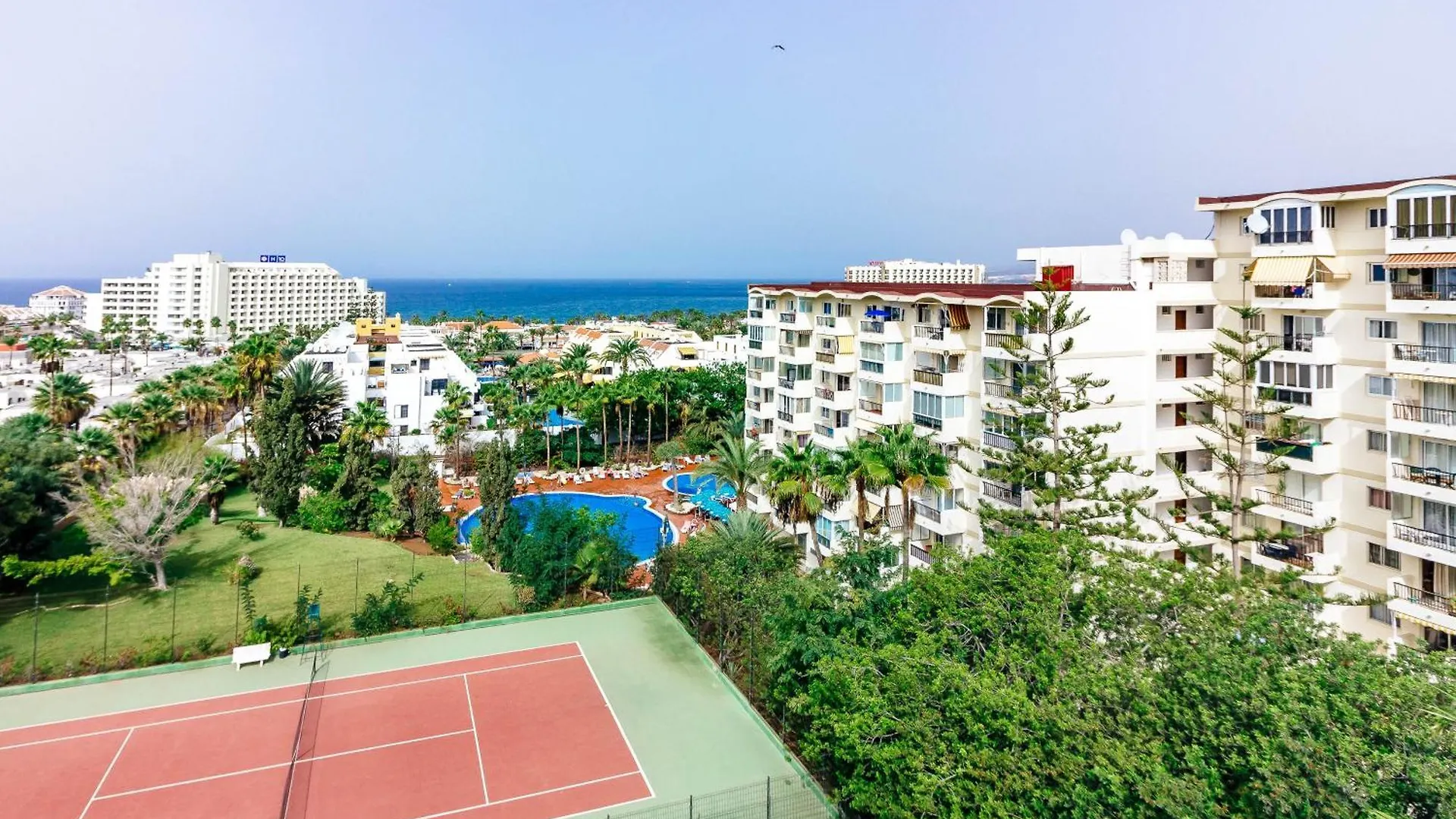 Apartment 1Bdr El Dorado Ocean View Las Americas Playa de las Americas  Spain