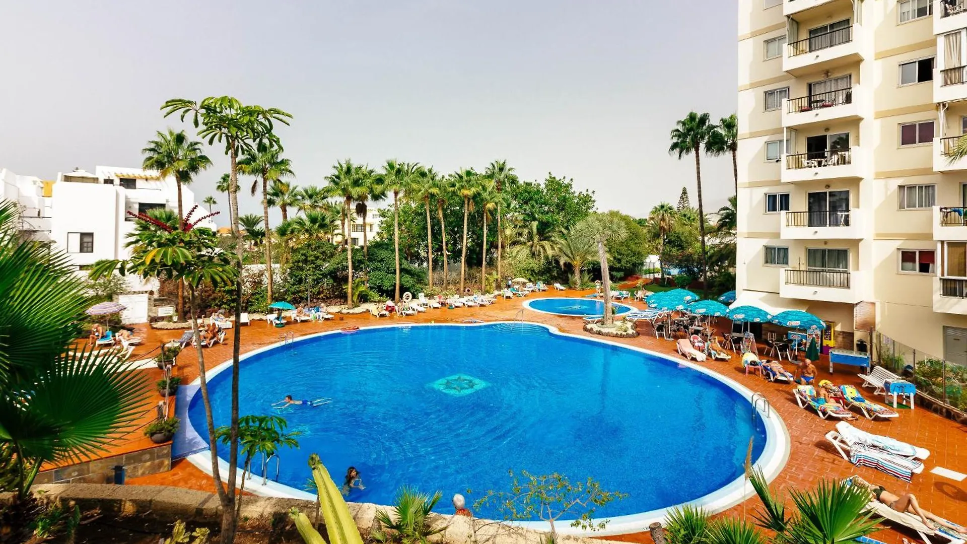 1Bdr El Dorado Ocean View Las Americas Playa de las Americas  0*, Playa de las Americas (Tenerife) Spain