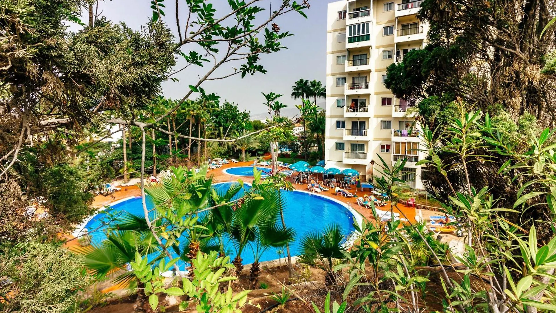Apartment 1Bdr El Dorado Ocean View Las Americas Playa de las Americas