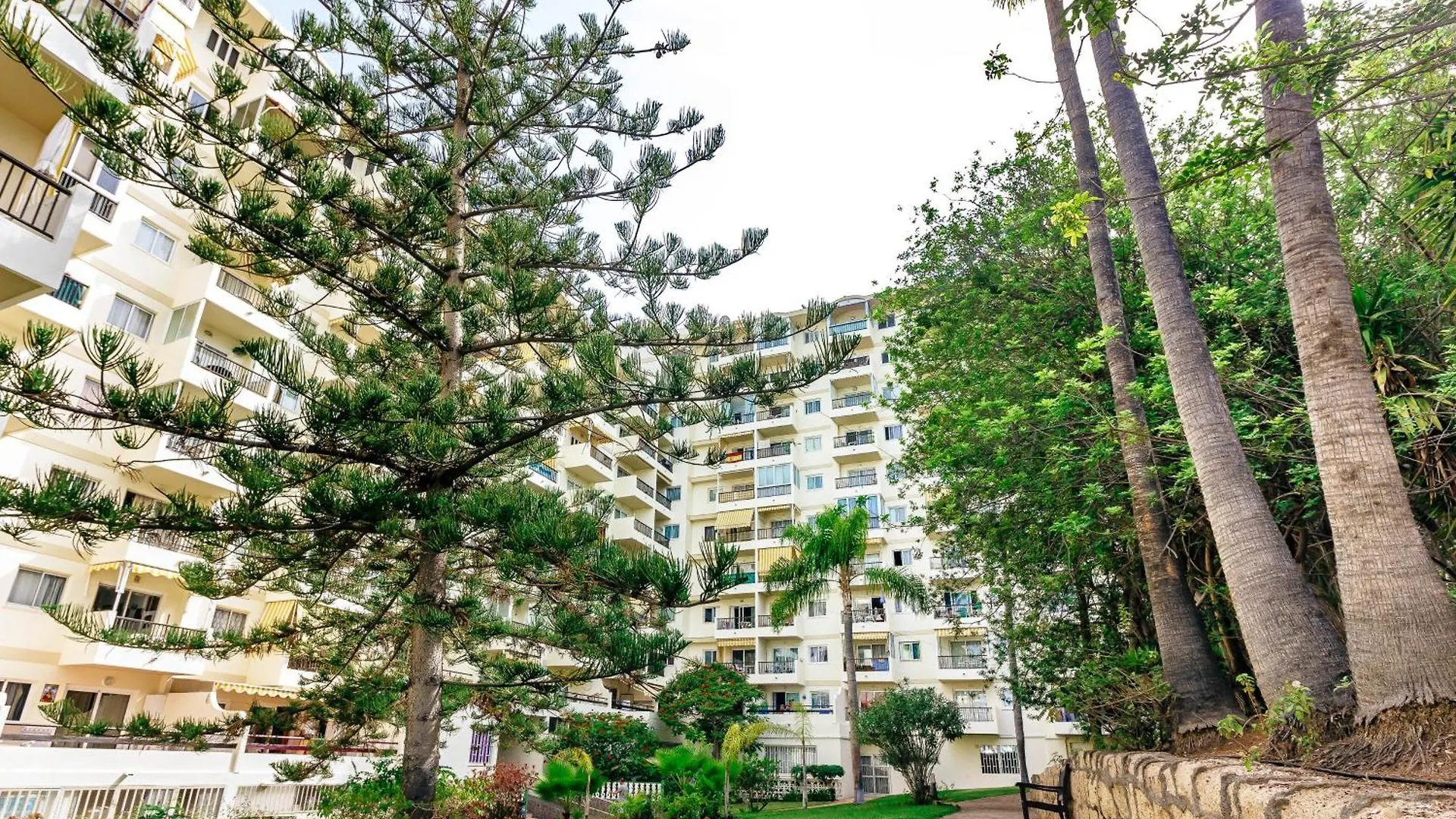 1Bdr El Dorado Ocean View Las Americas Playa de las Americas  Apartment