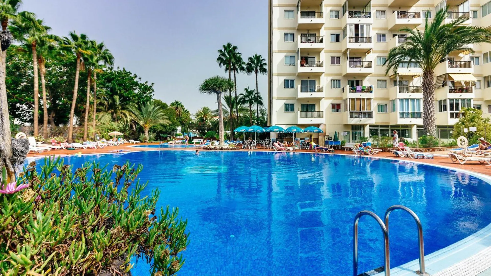 Apartment 1Bdr El Dorado Ocean View Las Americas Playa de las Americas